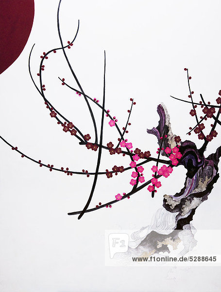 Pink blossom growing from gnarled branch