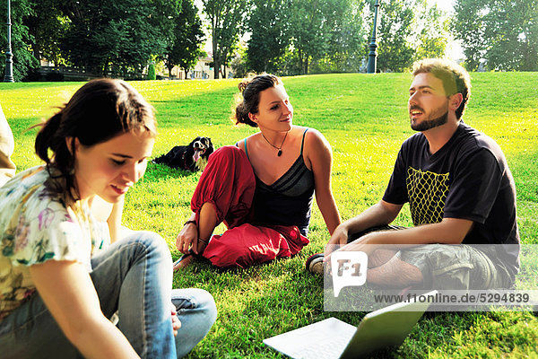 Freunde  die den Laptop im Gras im Park benutzen