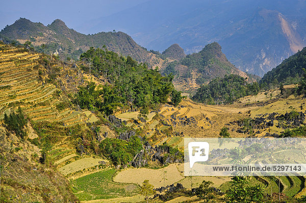 Mountain landscape with rice fields  Si Ma Cai District  Vietnam  Asia