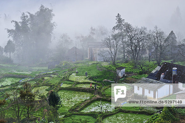 H‰user  Anbauterrassen  Gem¸sefelder im Nebel bei Sapa  Sa Pa  Provinz Lao Cai  Nordvietnam  Vietnam  S¸dostasien  Asien