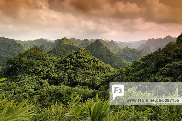 Cat Ba National Park  view from the Ngu Lam peak  Kim Giao forest  UNESCO Biosphere Reserve  Vietnam  Southeast Asia