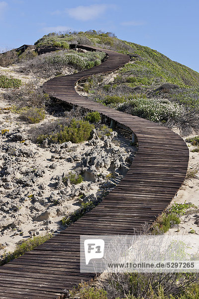Wooden walkway leading to The Point at Robberg Nature Reserve  South Africa