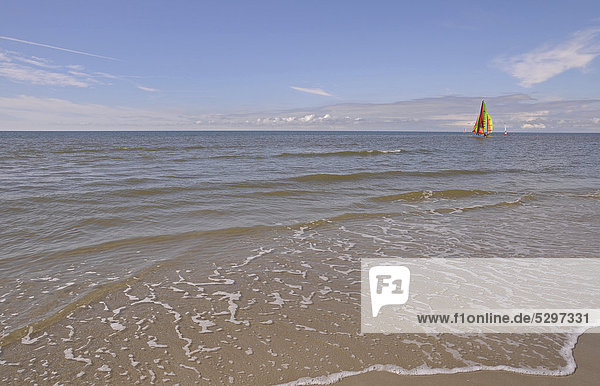 Windsurfer  beach  North Sea  St. Peter-Ording  Schleswig-Holstein  Germany  Europe