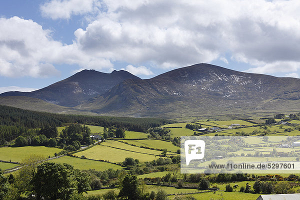 Mourne Mountains and Mt. Slieve Bearnagh  County Down  Northern Ireland  Ireland  Great Britain  Europe