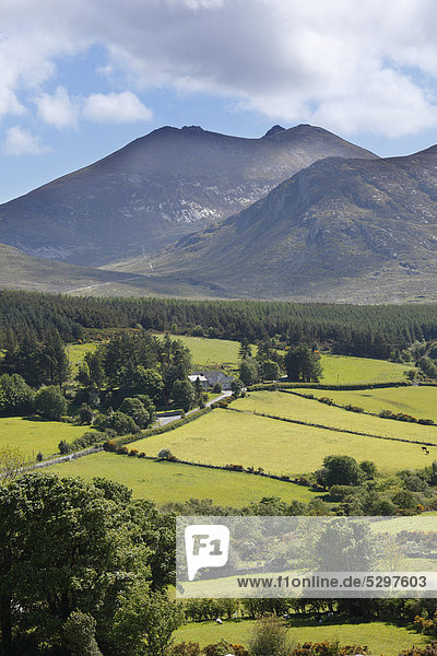 Mt. Slieve Bearnagh  Mourne Mountains  County Down  Northern Ireland  Ireland  Great Britain  Europe