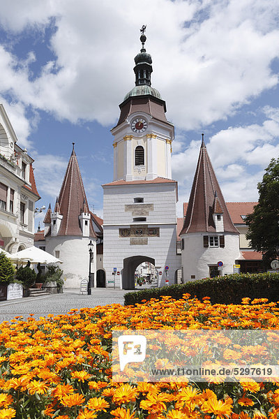 Steiner Tor gate  Krems an der Donau  Wachau  Lower Austria  Austria  Europe