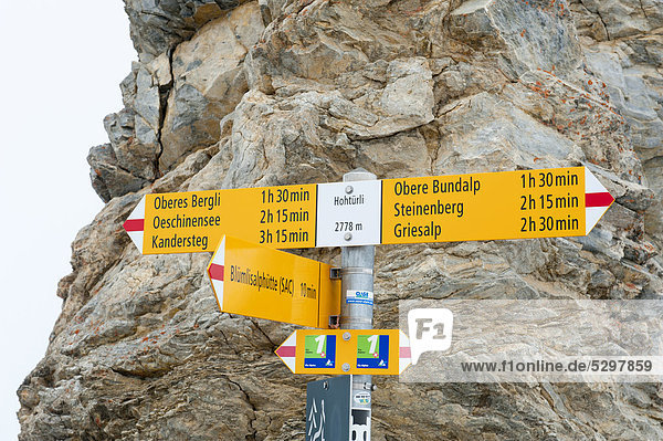 gelb Zeichen Berg Alpen Graubruststrandläufer Calidris melanotos Verein Signal schweizerisch Kanton Bern