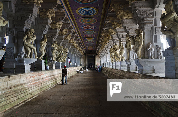 Ramanathaswami-Tempel  ein riesiges Labyrinth aus Säulengängen  hier der Gang der 1000 Säulen  Rameswaram  Tamil Nadu  Indien  Asien