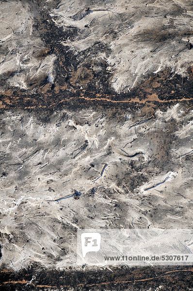 Luftaufnahme aus einer Cessna: Verbrennte Erde durch illegale Brandrodung im Gran Chaco. Stämme  Äste und Zweige des gebrochenen Waldes werden auf den zukünftigen Feldern verbrann  Salta  Argentinien  Südamerika