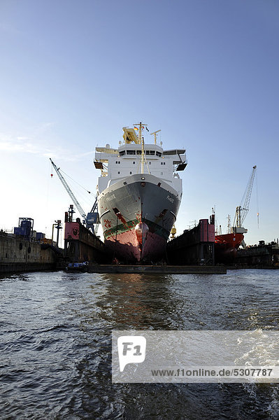 Frachtschiff in einem Trockendock des Hamburger Hafens  Hansestadt Hamburg  Deutschland  Europa