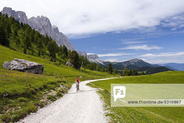 Cyclist below the Odle Group in the Valle di Funes valley  just before Gampenalm alpine meadow  Funes in spring  Alto Adige  Italy  Europe