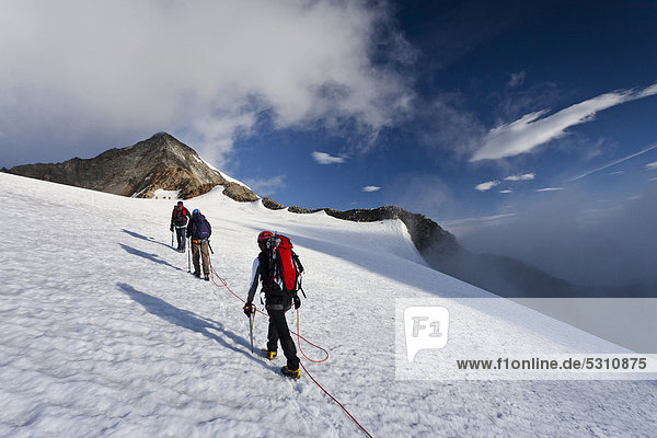Climbers during the ascent from Mueller Hut towards Wild Pfaff and Zuckerhuetl mountains  looking towards Wild Pfaff Mountain  Passeiertal valley above the road of Timmelsjoch Pass  Alto Adige  Italy  Europe