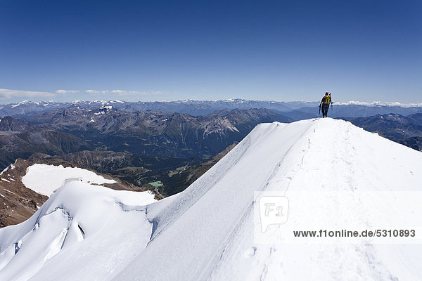 Bergsteiger auf dem Gipfelgrat beim Aufstieg zum Piz Palü  Graubünden  Schweiz  Europa