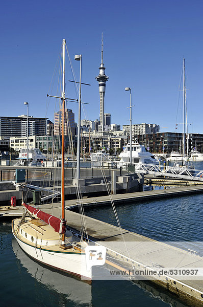 Segelboot  Hafen  Auckland Neuseeland