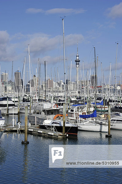Segelboote im Westhaven Marina Yachthafen  hinten Skyline und Skytower von Auckland  Neuseeland  ÖffentlicherGrund
