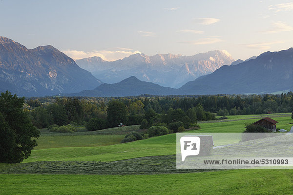 Blick von Murnau über Murnauer Moos zum Wettersteingebirge mit Zugspitze  Blaues Land  Oberbayern  Bayern  Deutschland  Europa  ÖffentlicherGrund
