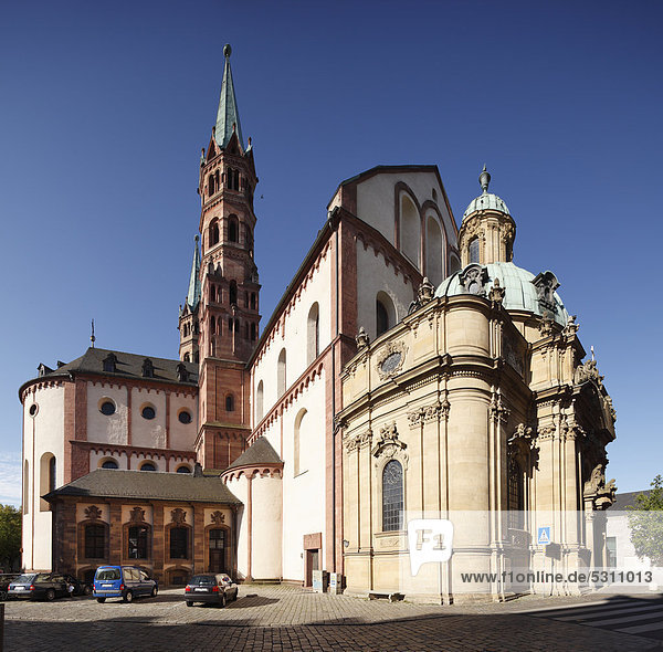 Kiliansdom  Dom St. Kilian mit Schönbornkapelle  Würzburg  Unterfranken  Franken  Bayern  Deutschland  Europa  ÖffentlicherGrund