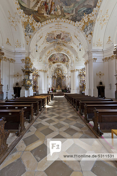 Schlosskirche  Kloster Schäftlarn  Oberbayern  Bayern  Deutschland  Europa