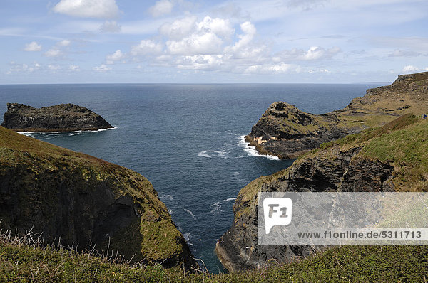 Zerklüftete Felsklippen an der Küste bei Boscastle  Tintagel  Cornwall  England  Großbritannien  Europa