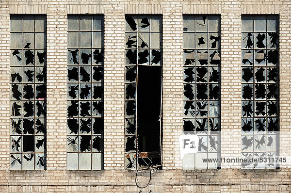 Kaputte Fensterscheiben an einer Fabrikhalle einer abbruchreifen Ziegelei  Spardorf  Mittelfranken  Bayern  Deutschland  Europa