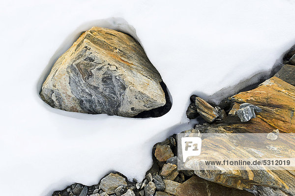 Ockerfarbenes Gestein im Schnee  am Mittivakkat-Gletscher  Halbinsel Ammassalik  Ostgrönland  Grönland