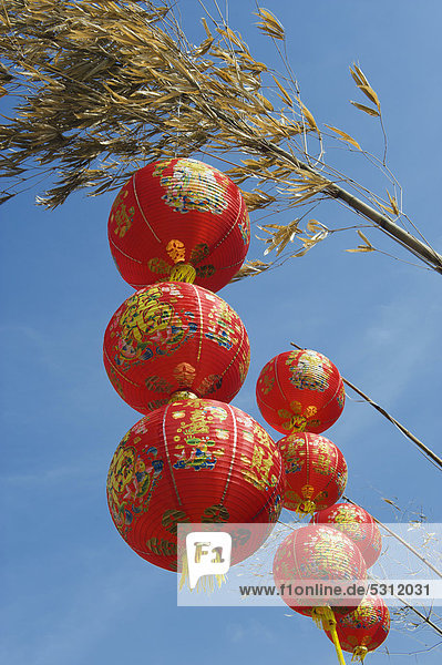 Chinesische Lampions zum Chinesischen Neujahr  Krabi Town  Krabi  Thailand  Südostasien  Asien