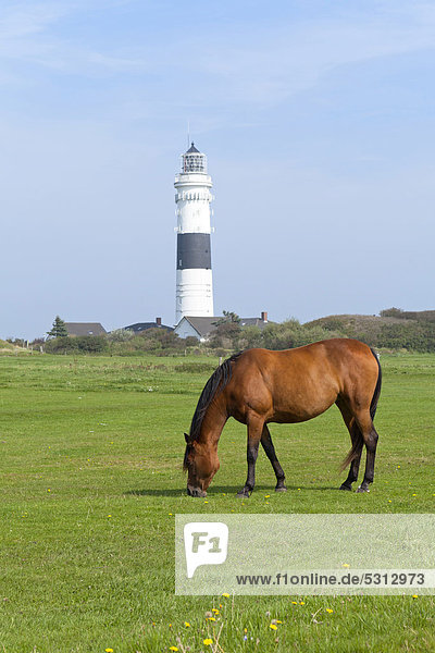 Europa Leuchtturm Deutschland Schleswig-Holstein
