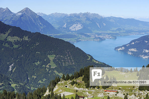 Sicht von der Schynige Platte mit Thunersee und Niesen  Wilderswil  Bern  Schweiz  Europa