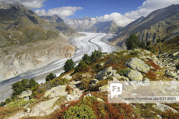 Large Aletsch Glacier  UNESCO World Natural Heritage Site  Jungfrau-Aletsch-Bietschhorn region  Goms  Valais  Switzerland  Europe