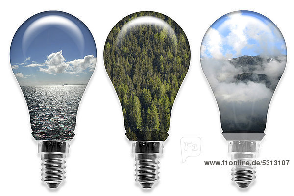 Illustration  Glühbirnen  Symbolbild erneuerbare Energie