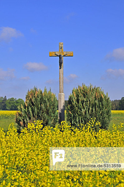 Feldkreuz mit Christusfigur  Schwäbische Alb  Baden-Württemberg  Deutschland  Europa  ÖffentlicherGrund