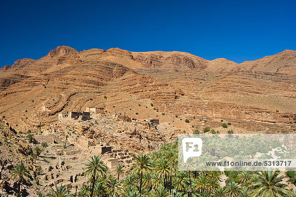 Typische Felslandschaft mit kleiner Siedlung  im ausgetrockneten Flussbett wachsen Dattelpalmen (Phoenix)  Ait Mansour Tal  Antiatlas  Südmarokko  Marokko  Afrika