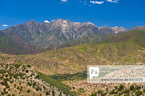 Berglandschaft im Hohen Atlas  im Tal liegt eine kleine Siedlung der Berber umgeben von Bäumen  Passstraße Tizi-n-Test  Südmarokko  Marokko  Afrika