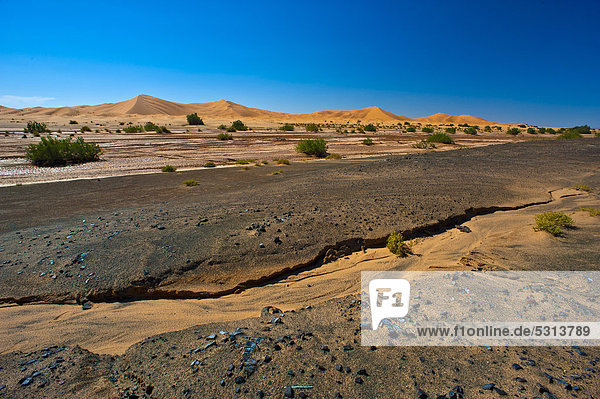 Ausgetrocknetes Flussbett und Hammada Steinwüste  hinten Sanddünen des Erg Chebbi  Südmarokko  Marokko  Afrika