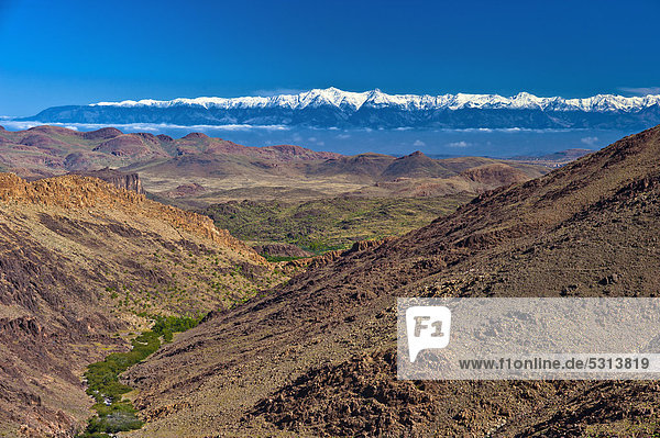 Berglandschaft mit Blick auf die schneebedeckten Berge des Hohen Atlas  Antiatlas  Südmarokko  Marokko  Afrika