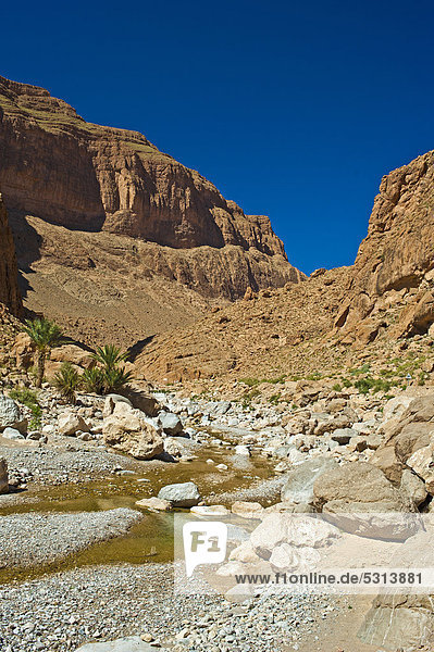 Felswände und kleiner Bachlauf in der Todhra-Schlucht  Tinerhir  Südmarokko  Marokko  Afrika