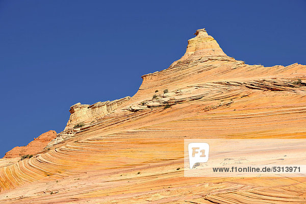 Felsformation The Sentinel auf dem Weg zum Sandsteinfelsen The Wave  North Coyote Buttes  Paria Canyon  Vermillion Cliffs National Monument  Arizona  Utah  Vereinigte Staaten von Amerika  USA