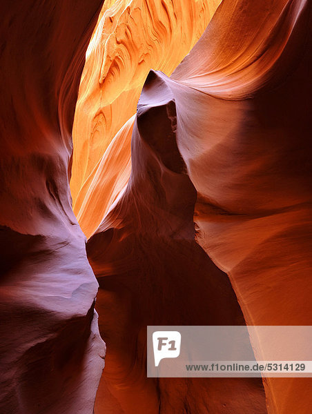 Roter Sandstein der Moenkopi-Formation  Gesteinsformen  Farben und Strukturen im Lower Antelope Slot Canyon  Page  Navajo Nation Reservation  Arizona  Vereinigte Staaten von Amerika  USA