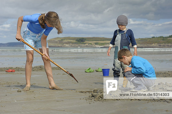 Young anglers digging for sandworms (Arenicola marina) on the beach  Atlantic Ocean  Finistere  Brittany  France  Europe  PublicGround