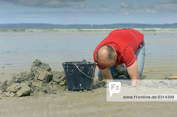 Mann beim Graben nach Wattwürmern (Arenicola marina) am Atlantikstrand  Finistere  Bretagne  Frankreich  Europa  ÖffentlicherGrund