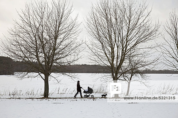 Frau geht mit Kinderwagen und Hund im Winter auf einem Feldweg zwischen verschneiten Wiesen spazieren  Barnstedt  Niedersachsen  Deutschland  Europa
