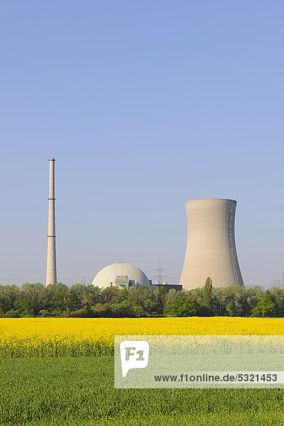 Kernkraftwerk Grafenrheinfeld  außer Betrieb  davor Rapsfeld  Unterfranken  Bayern  Deutschland  Europa