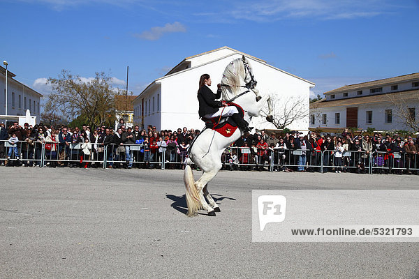 Reiter zeigt eine menorquinische Dressur  Santa Eulalia  Ibiza  Spanien  Europa