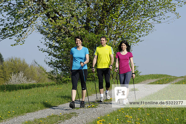 Nordic Walking Gruppe  mit Sport-Coach  Trainer