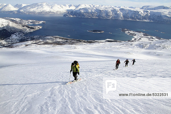 Skitourengruppe  Schnee  Fjorde  Lyngenalps  Norwegen  Europa