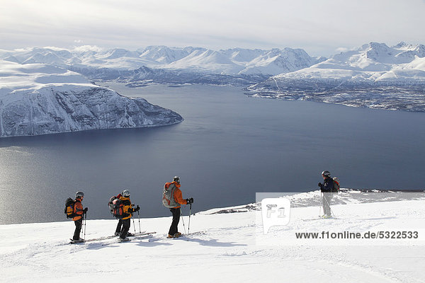 Ski touring group  snow  fjord  Lyngenalps  Norway  Europe