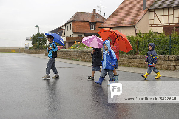 Fünf Kinder  3 bis 8 Jahre  überqueren im Regen die Straße  Assamstadt  Baden-Württemberg  Deutschland  Europa