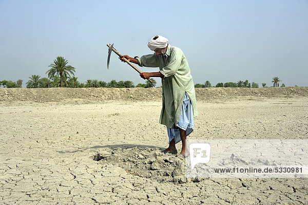 Farmer working on dried loamy soil  Basti Lehar Walla village  Punjab  Pakistan  Asia