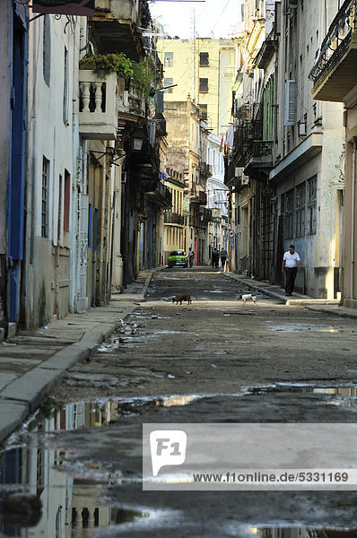 Straße in der Altstadt von Havanna  Kuba  Karibik