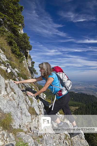 Woman  45  on a climbing route of Ettaler Manndl Mountain  a sub-peak of Laberberg Mountain in the Ammergau Alps  Ettal  Upper Bavaria  Bavaria  Germany  Europe